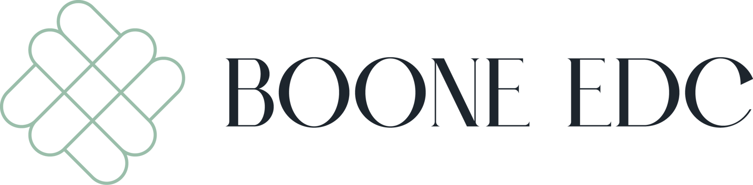 Boone_logo-hor-1ln_bk-sage_hires-2 Boone_logo-hor-1ln_bk-sage_hires-2